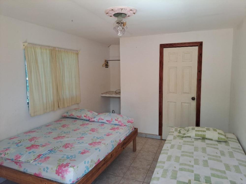Casa Fotr Loco Hotel Uvita Ngoại thất bức ảnh