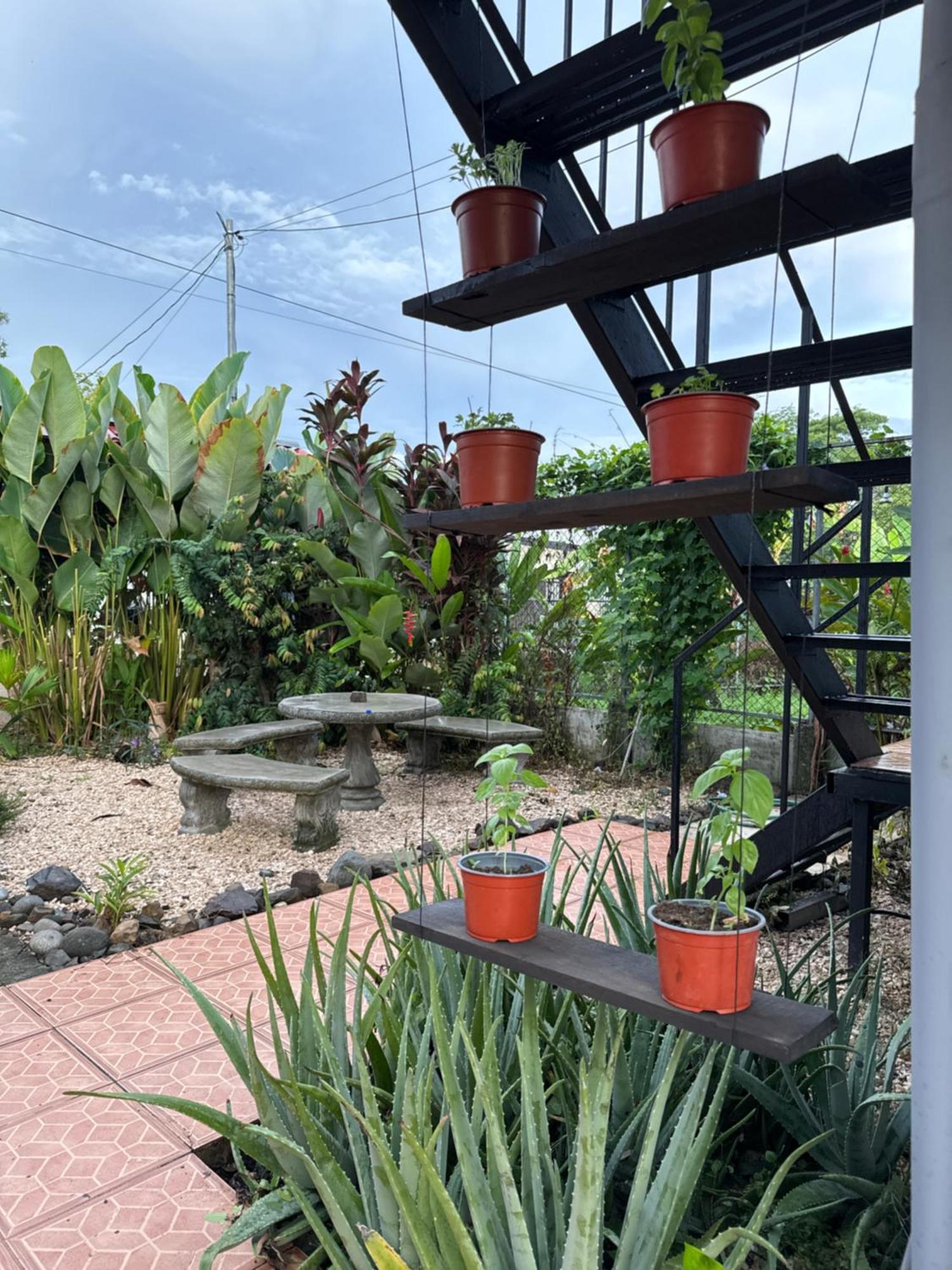 Casa Fotr Loco Hotel Uvita Ngoại thất bức ảnh